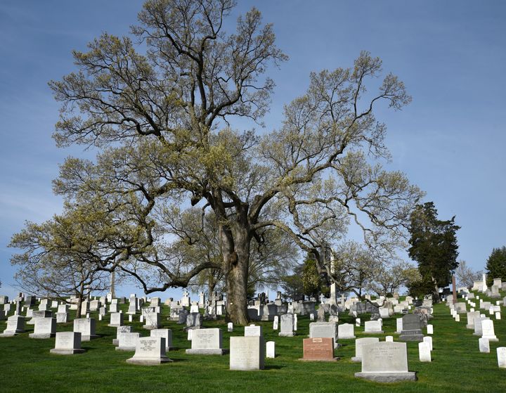 The graves of U.S. veterans and their spouses fill Arlington National Cemetery outside of Washington, D.C.